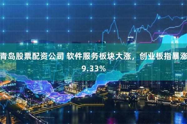 青岛股票配资公司 软件服务板块大涨，创业板指暴涨9.33%