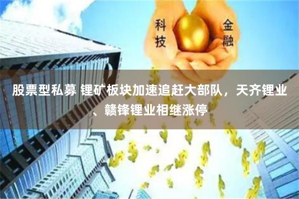 股票型私募 锂矿板块加速追赶大部队，天齐锂业、赣锋锂业相继涨停