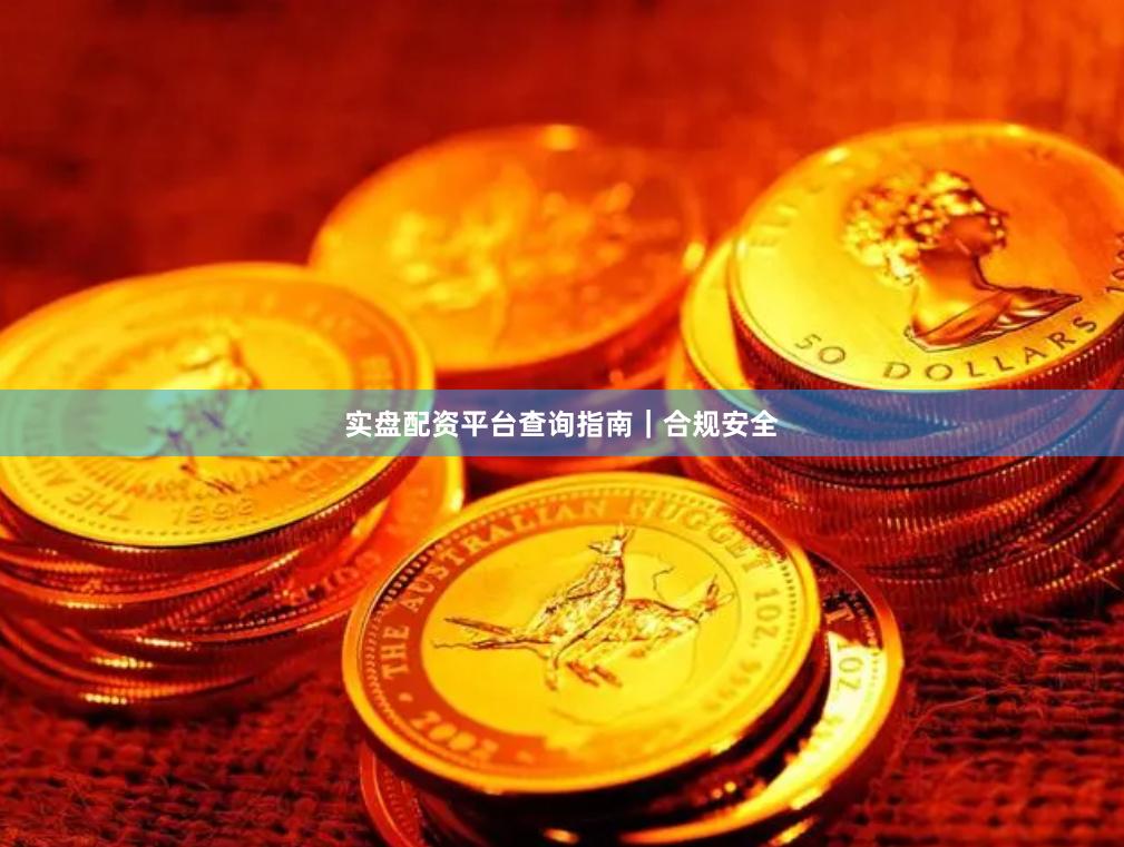 实盘配资平台查询指南｜合规安全